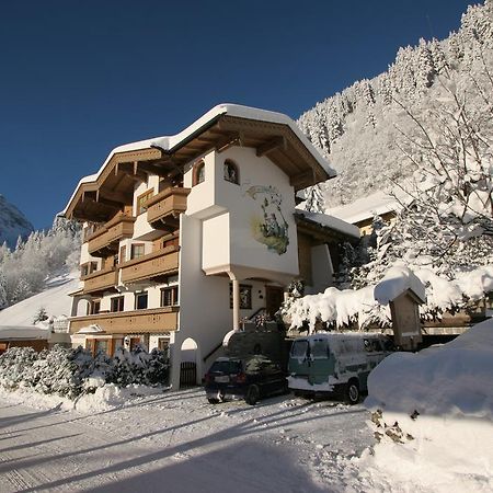Haus Am Sonnenhang Finkenberg Extérieur photo