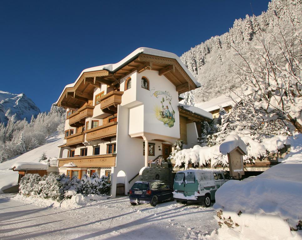 Haus Am Sonnenhang Finkenberg Extérieur photo
